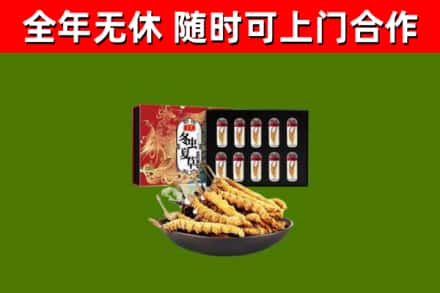 包头回收冬虫夏草价格